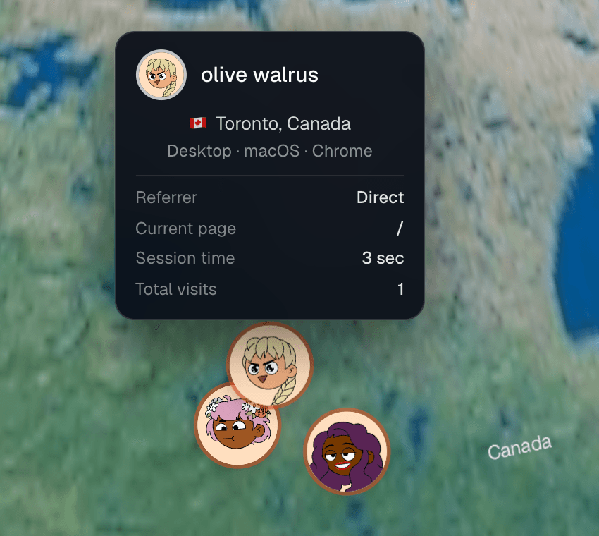 Visitor details: city, device, referrer, current page, session time
